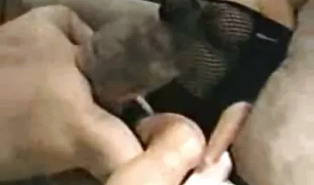 新郎と姉妹との独身の後の成熟した花嫁は、猫の中で彼らと一緒にいます 女性 に 安心 av